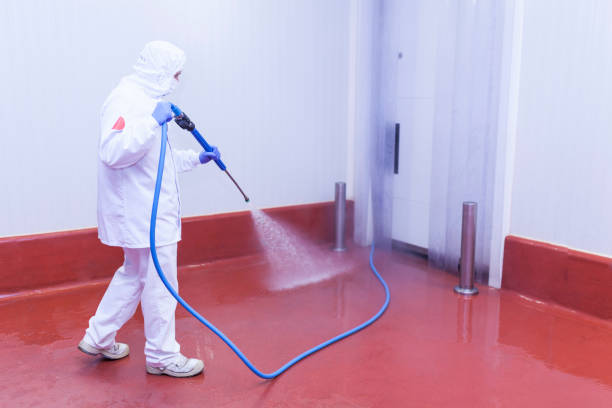 Best Spring Cleaning  in Alamosa East, CO